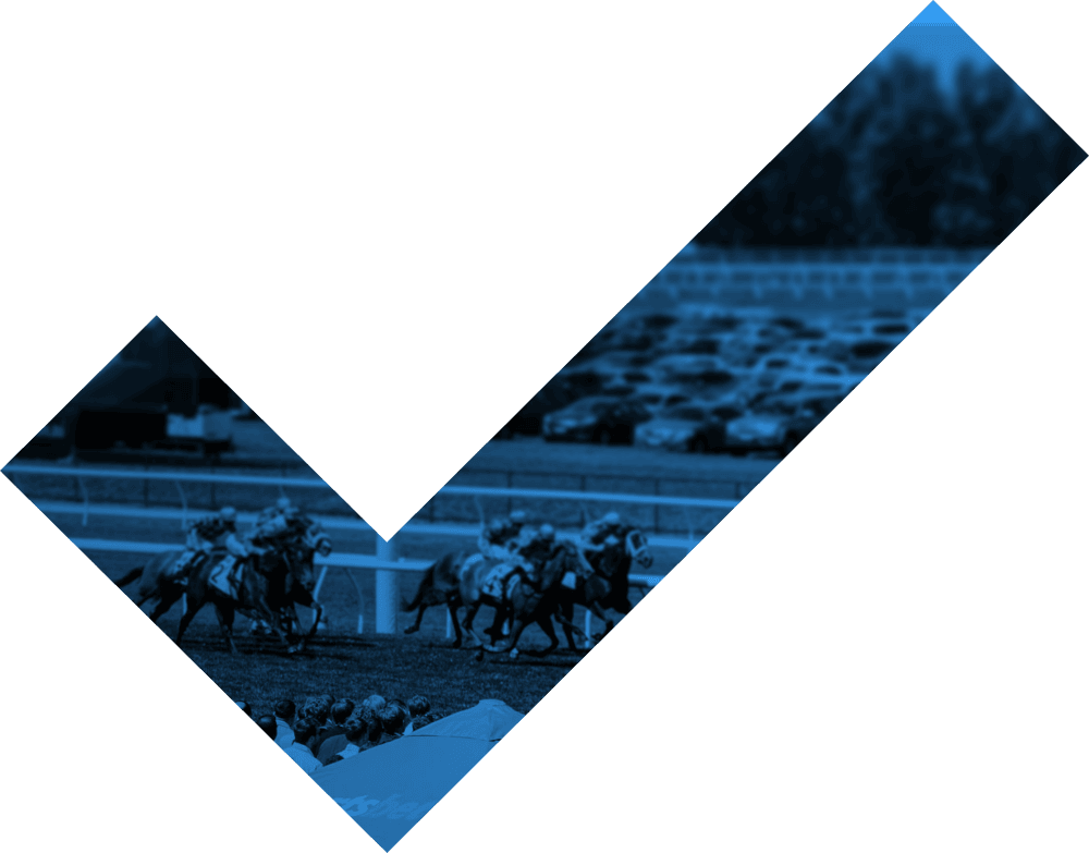 Jockeys and horses racing down the straight at a racecourse