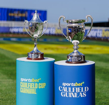 Foundation Raceday photo